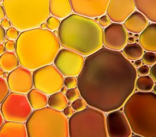 Golden black seed oil
