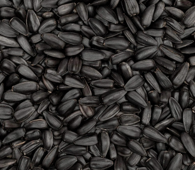 Black seeds of Nigella sativa